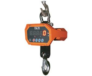 How Precise are Crane Scales?