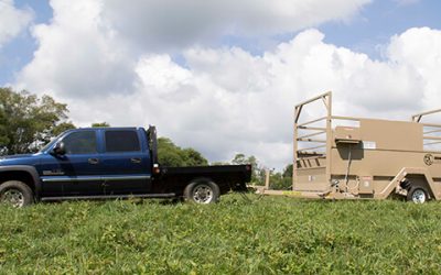 Why Your Farm Needs Cattle Scales